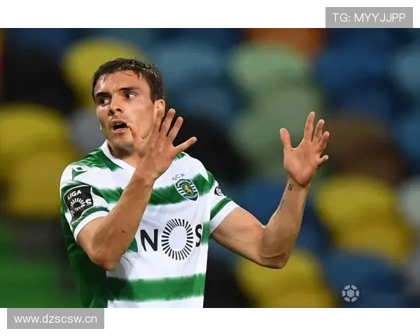 帕利尼亚巅峰期荣誉解析：葡萄牙体育联赛冠军主力身份